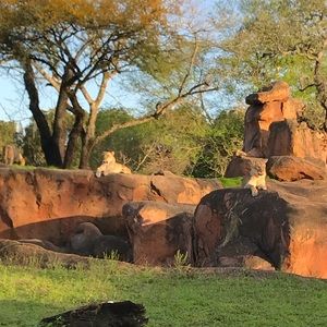 Meet your Posher, Nic